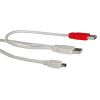 ROLINE 19.08.1006 :: ROLINE USB 2.0 Y-кабел, 2x USB A M - 5-pin Mini M, 1.8 м