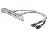 ASSMANN AK-300301-002-E :: USB Slot Bracket Cable, 2x type A-2x5pin IDC, F/F, 0.25m, USB 2.0