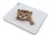 TUCANO MPDEL-163 :: Mouse pad, Kitty