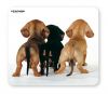 TUCANO MPDEL-202 :: Mouse pad, Puppies Back